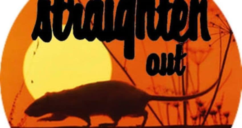 Straighten Out Stranglers Tribute