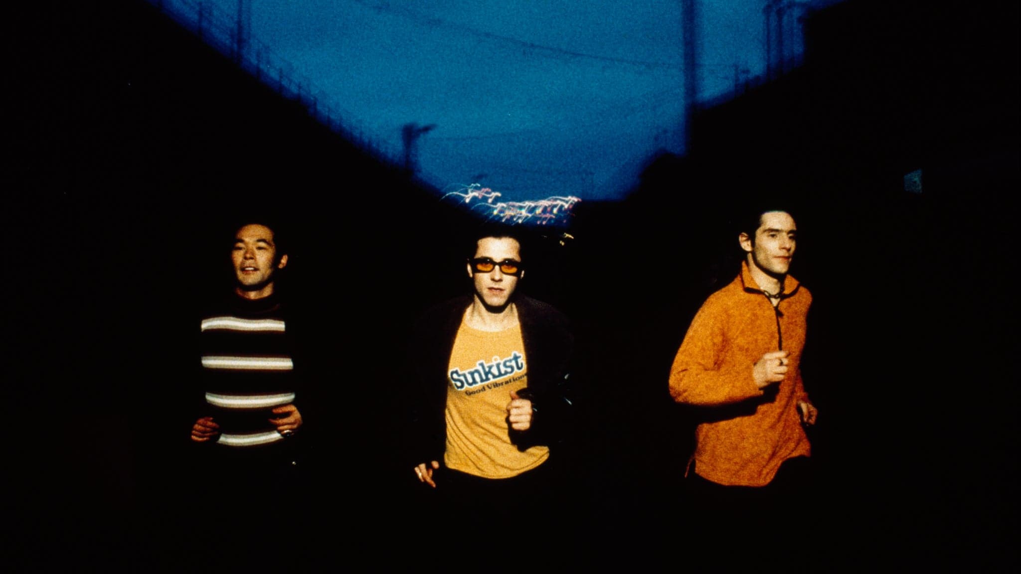 Feeder - Polythene Live
