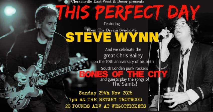 Steve Wynn + Bones of the City